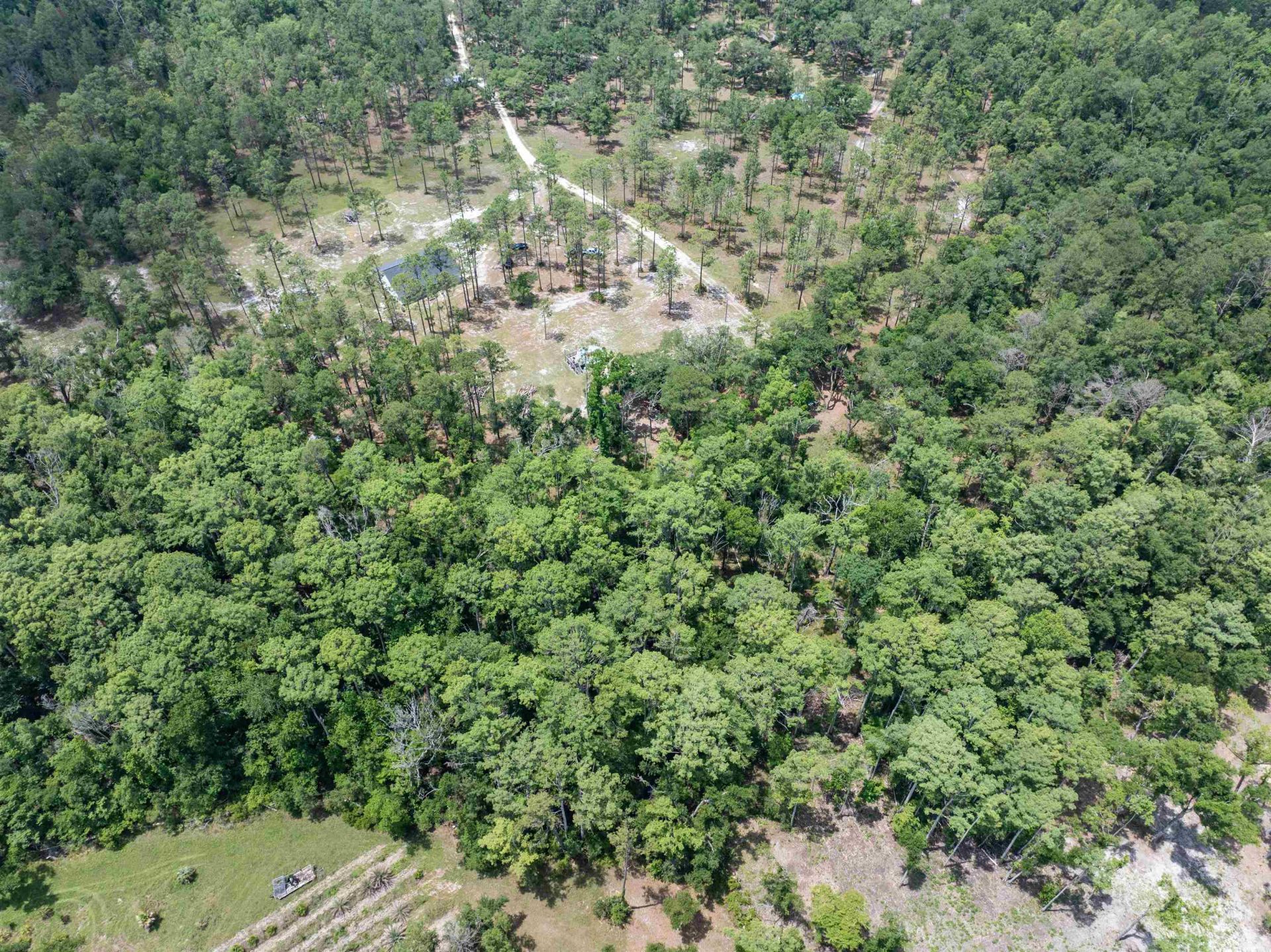 2878 W Us 98, Perry, FL 32347 Photo