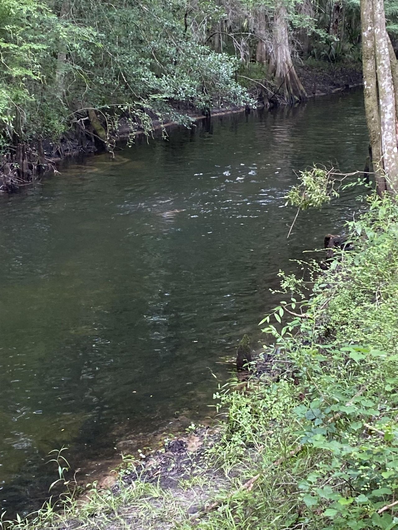 2878 W Us 98, Perry, FL 32347 Photo