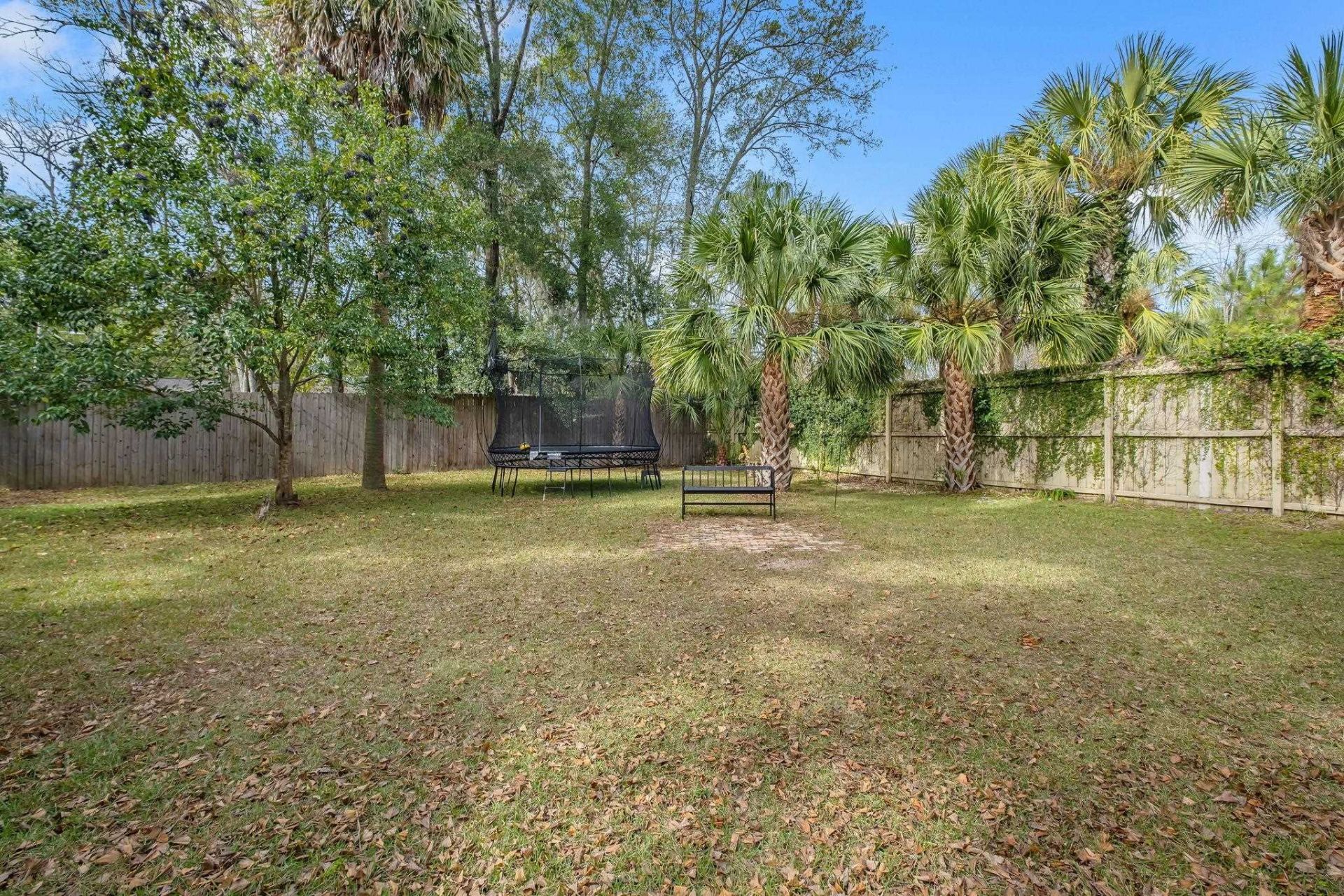 1234 N Duval Street, Tallahassee, FL 32303 Photo