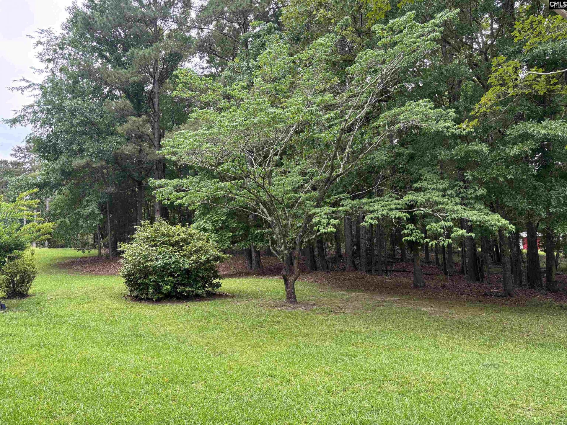 858 Pinehurst Road  Photo 5