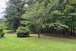 858 Pinehurst Road  photo 4