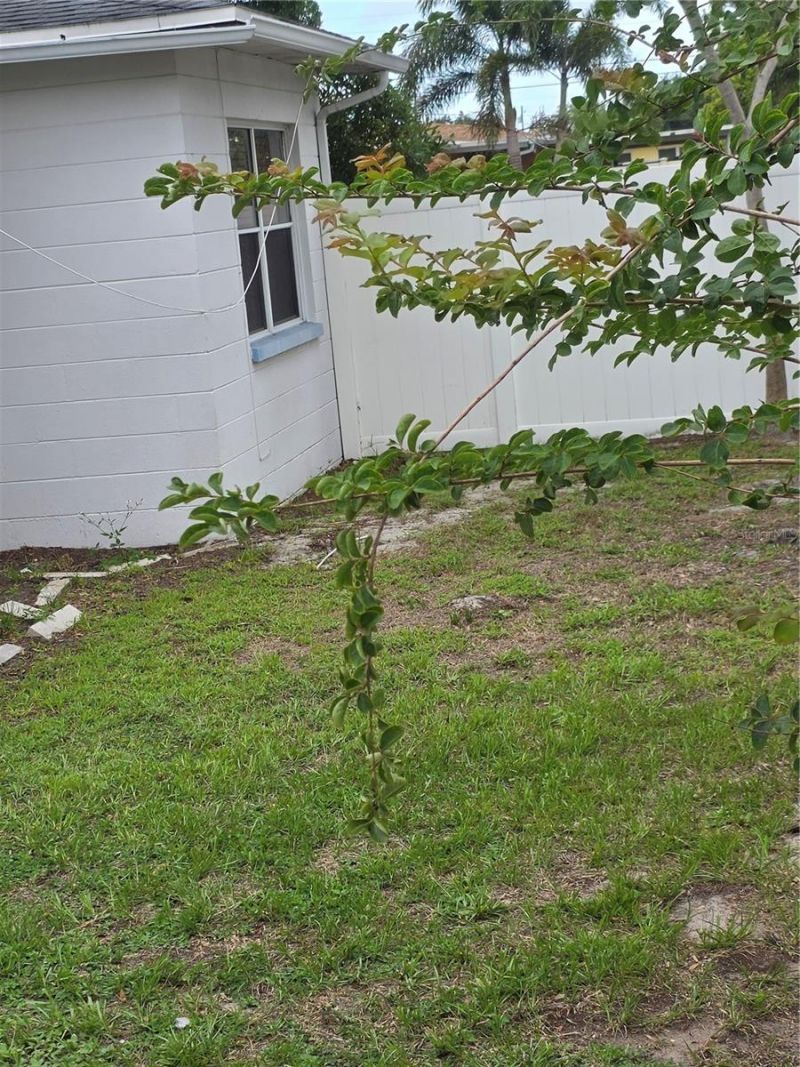 2444 37th Street N, Saint Petersburg, FL 33713 Photo