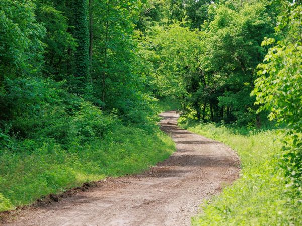 582 Cedar Bend Rd , Beechgrove, TN 37018