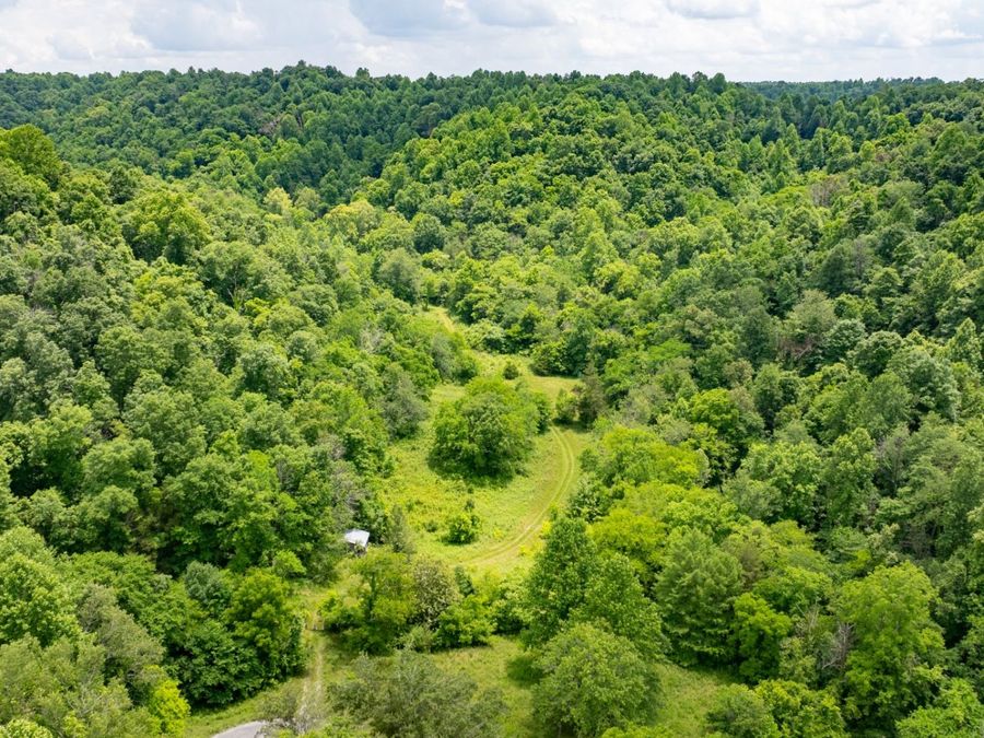 Property Image 24