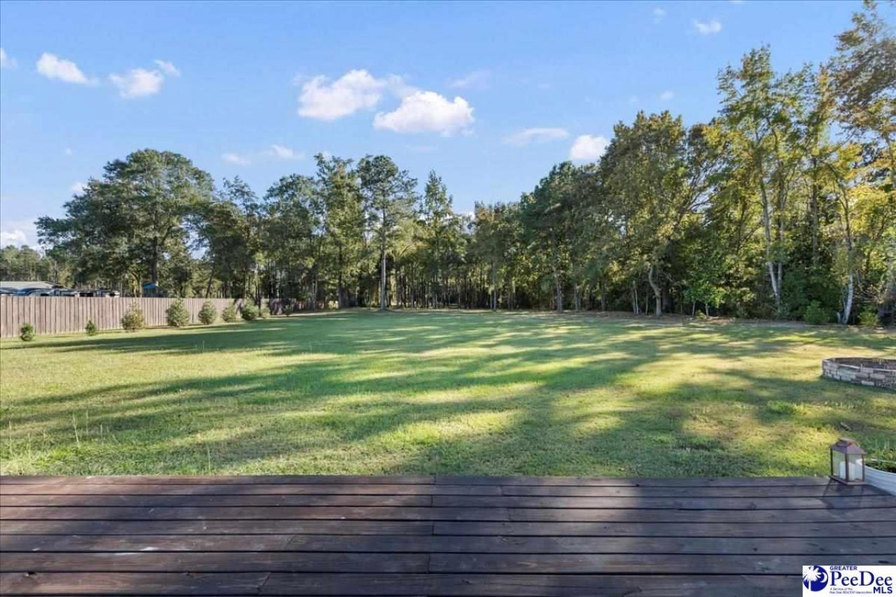 3896 Alligator Rd. Photo 45