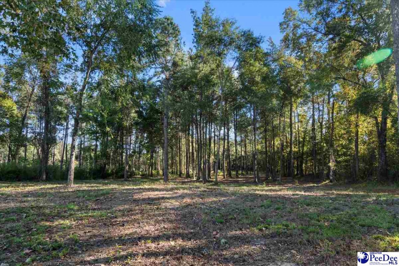 3896 Alligator Rd. Photo 51