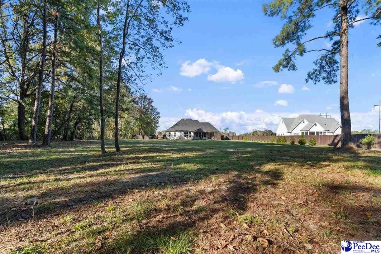 3896 Alligator Rd. Photo 52