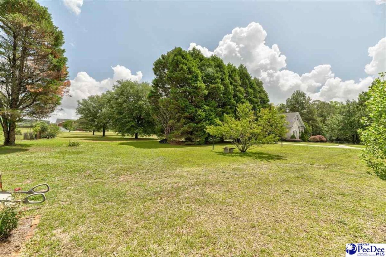 4911 Oates Hwy Photo 45