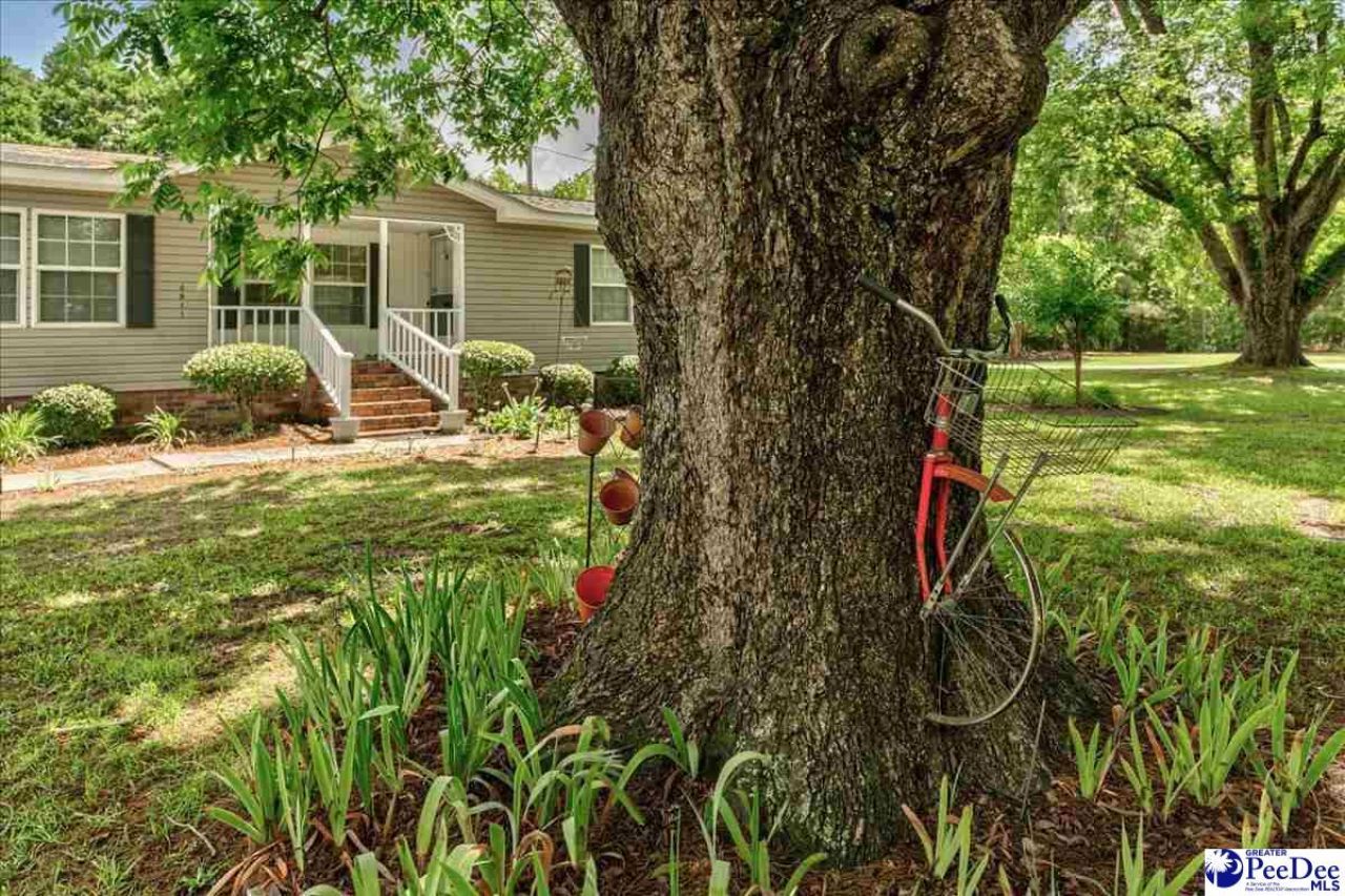 4911 Oates Hwy Photo 6
