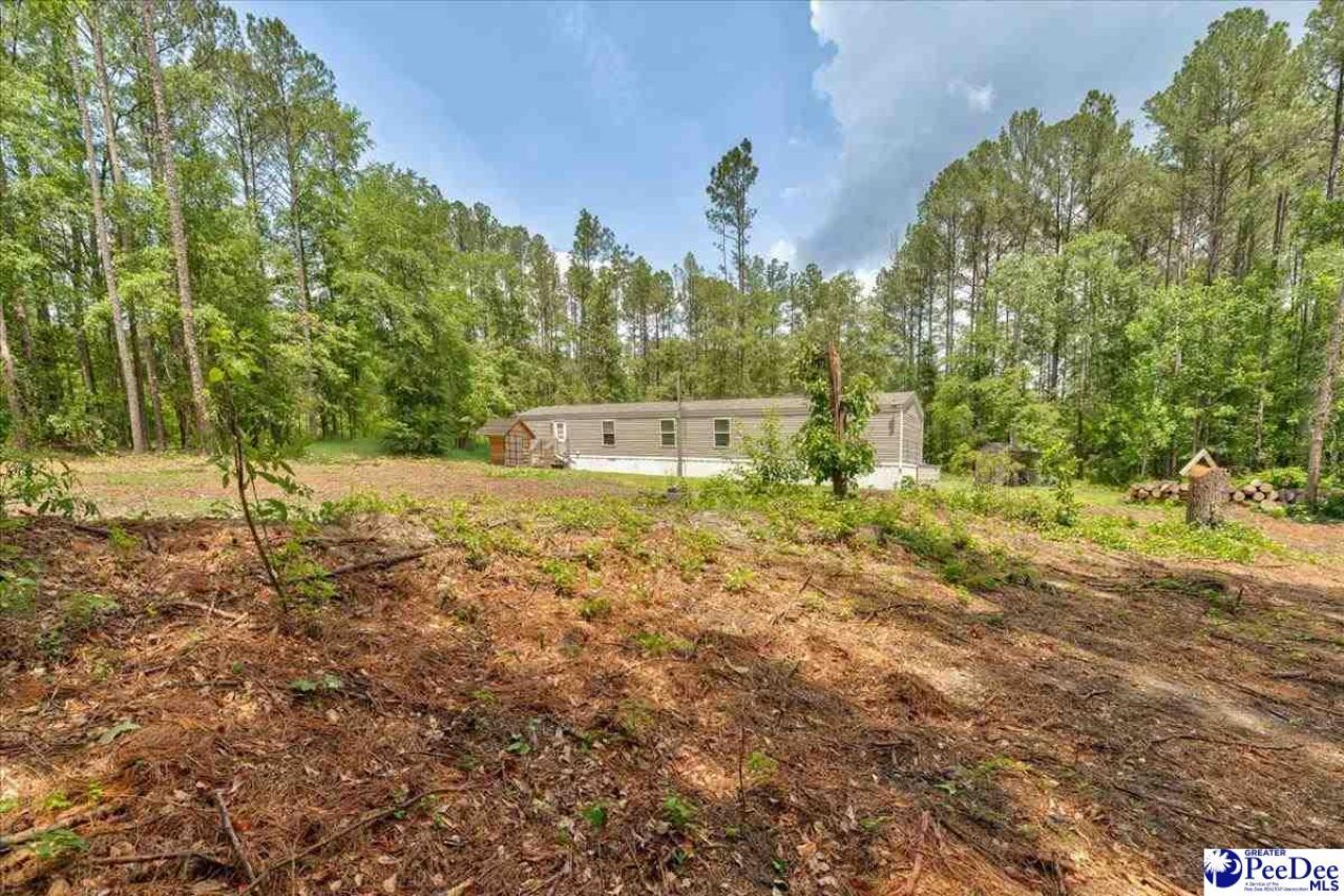 127 Branchview Road Photo 27
