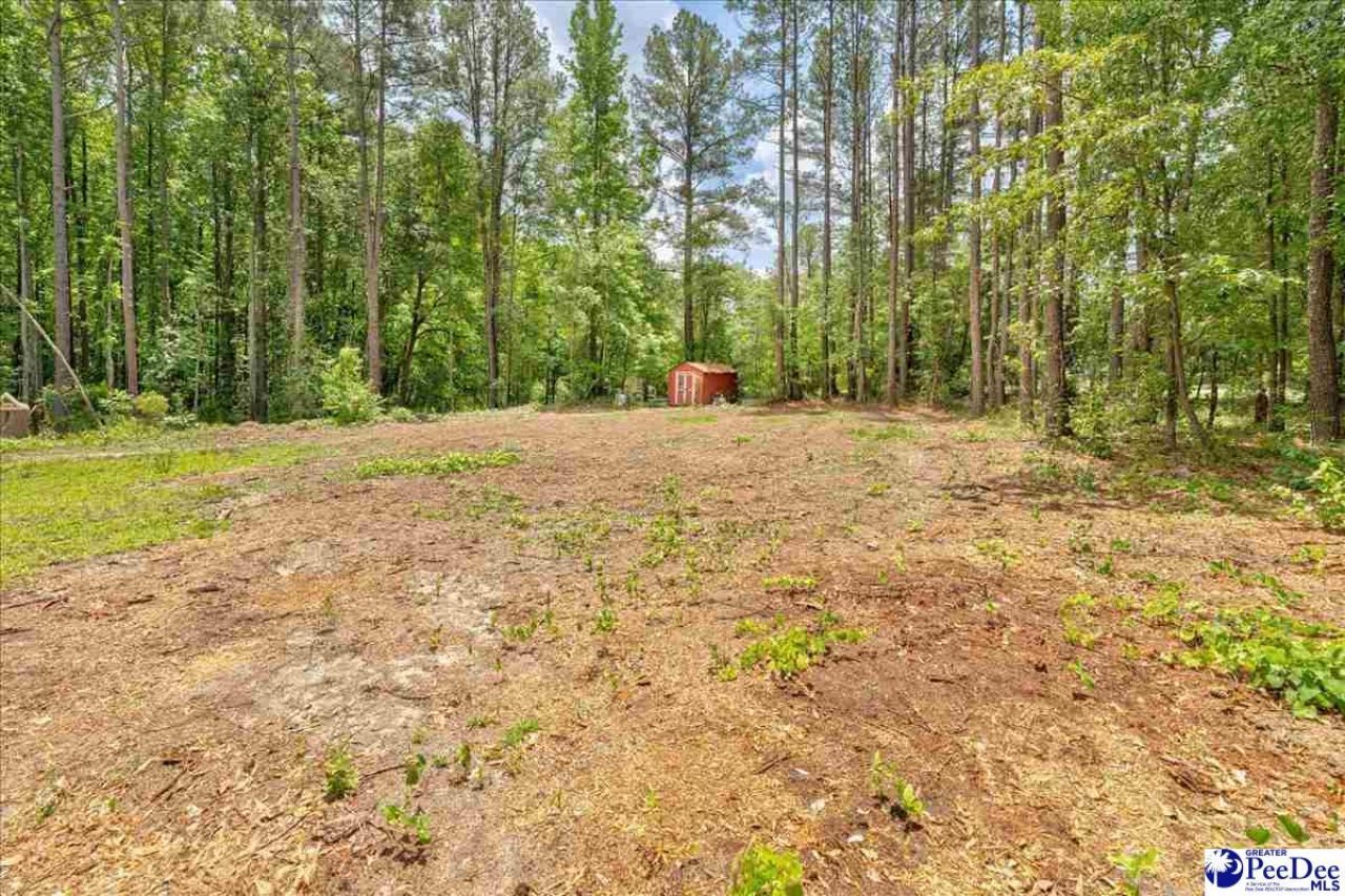 127 Branchview Road Photo 29