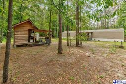 127 Branchview Road photo 4