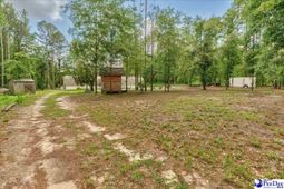 127 Branchview Road photo 4