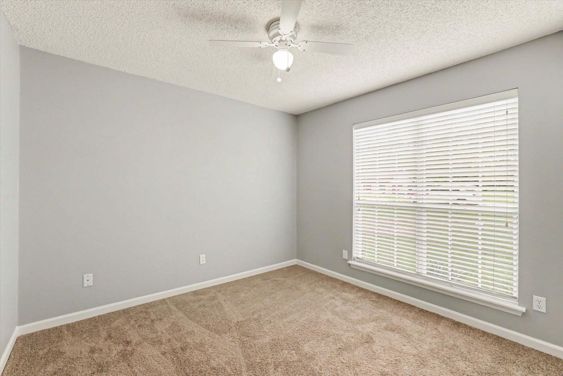 9851 Brookhollow Lane, Tallahassee, FL 32317 Photo