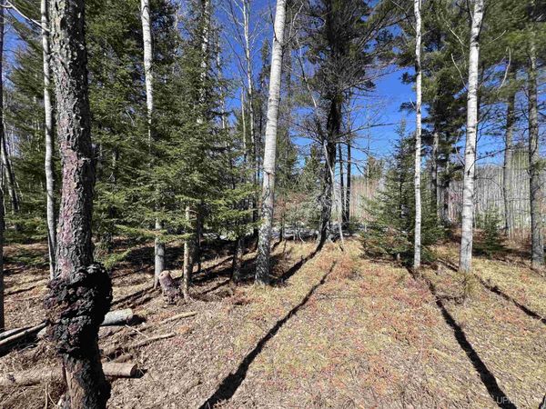 TBD Co 424 Road, Mastodon Twp, MI 49920