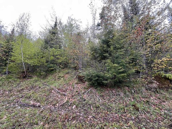 TBD Harborview Unit 11 Drive, Au Train Twp, MI 49862