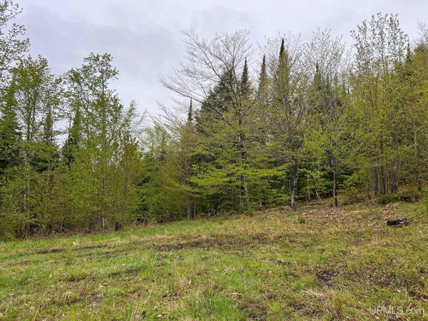 TBD Harborview Lot 12 Drive, Au Train Twp, MI 49862