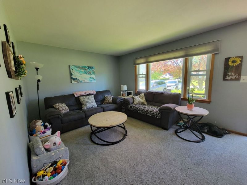 880 Afton Avenue , Youngstown, OH 44512 Photo 10