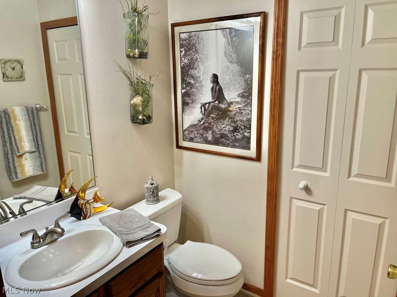 4546 Grand Teton Drive , Medina, OH 44256 Photo 22