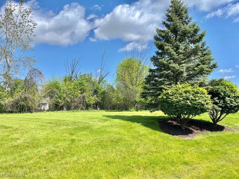 4546 Grand Teton Drive , Medina, OH 44256 Photo 26