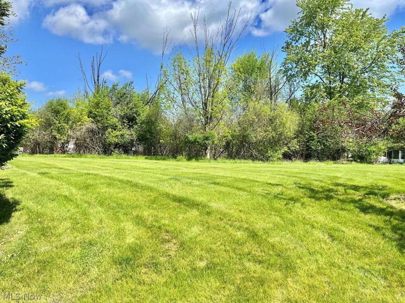 4546 Grand Teton Drive , Medina, OH 44256 Photo 28