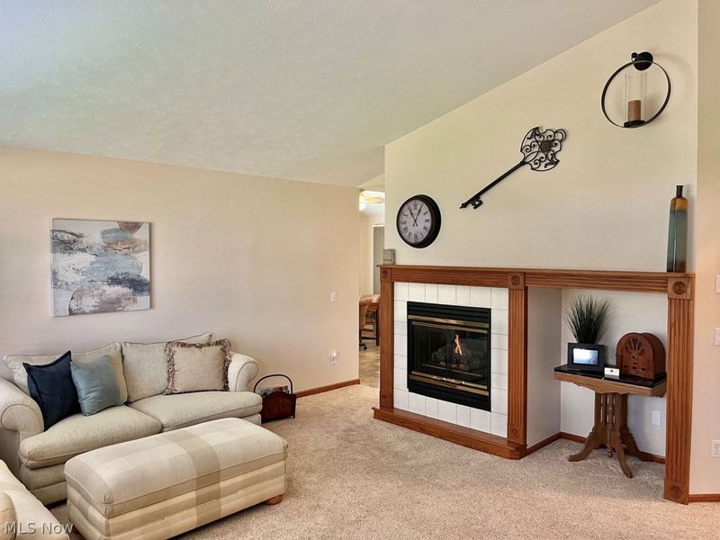 4546 Grand Teton Drive , Medina, OH 44256 Photo 4