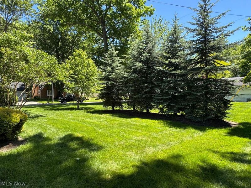 359 Yale Avenue , Elyria, OH 44035 Photo 9