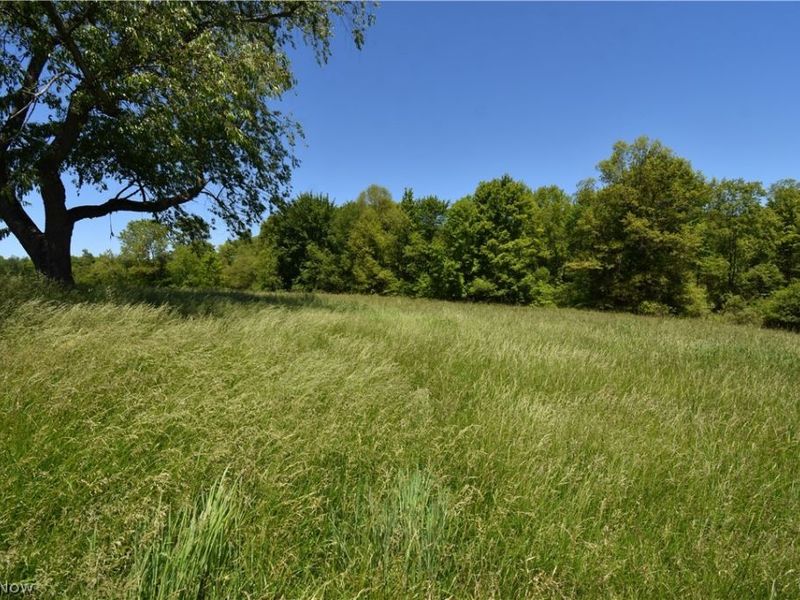 0 Schotten Road , Hubbard, OH 44425 Photo 3