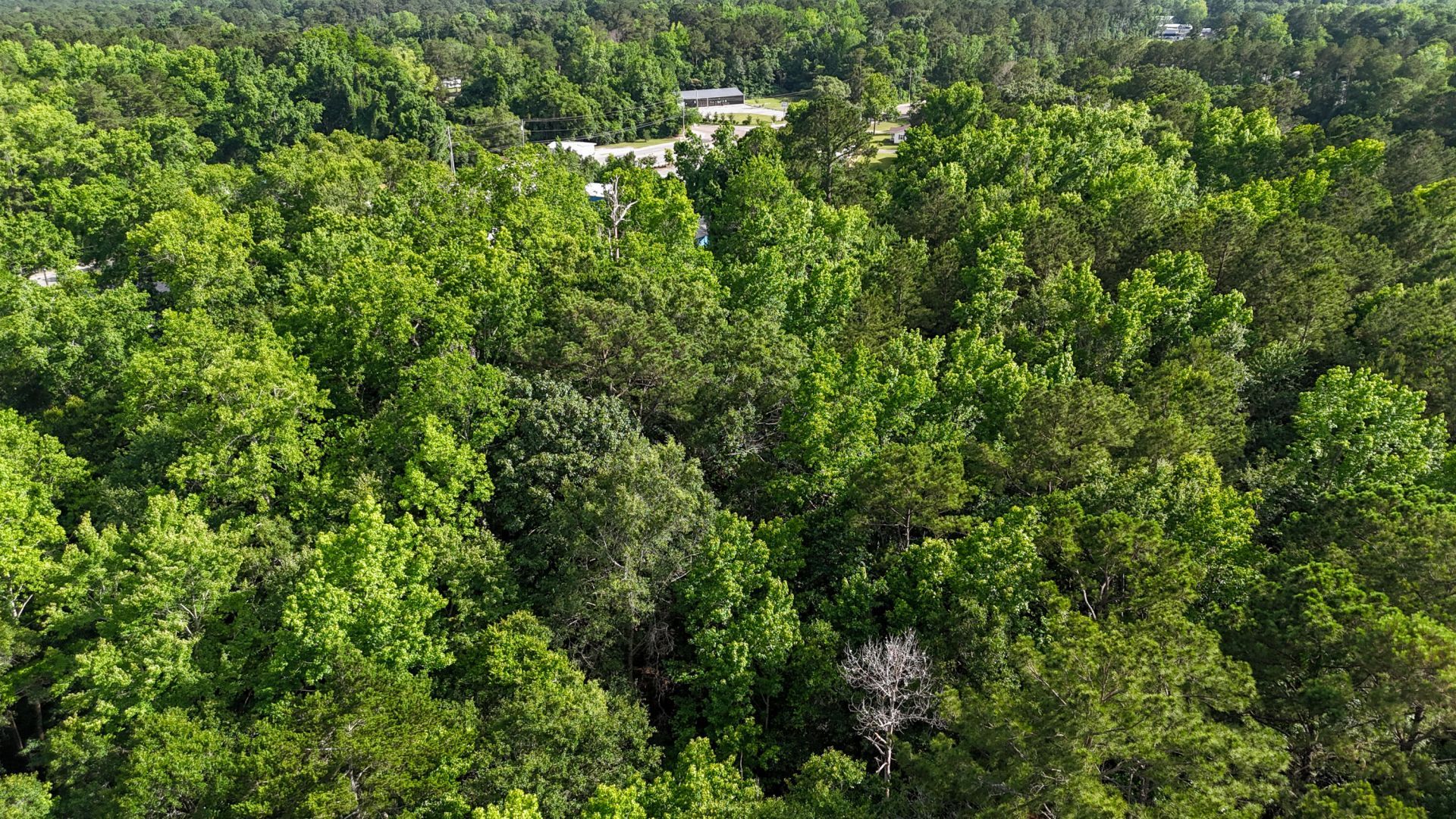 0 S Live Oak Drive  Photo 29