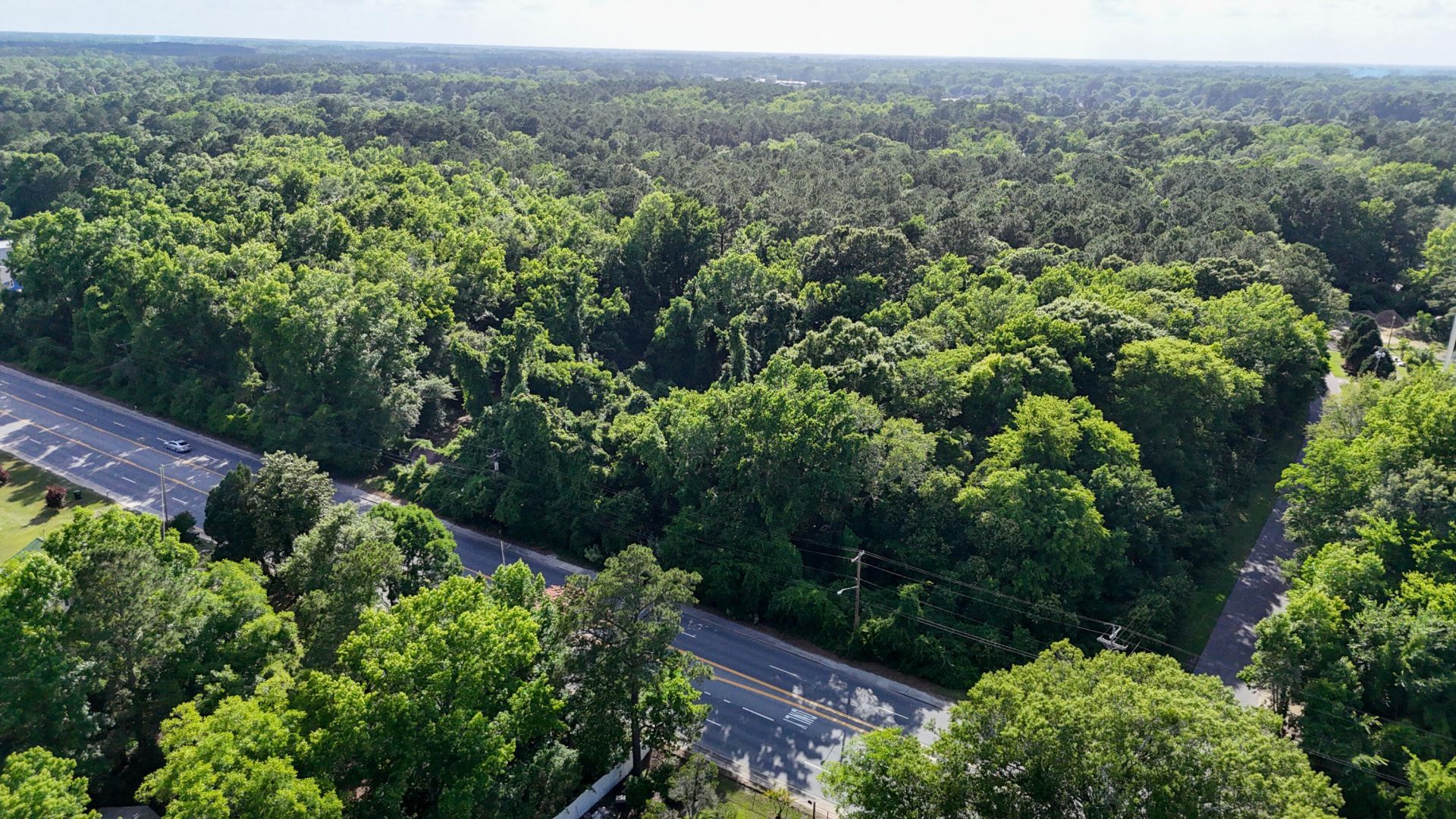 0 S Live Oak Drive  Photo 35