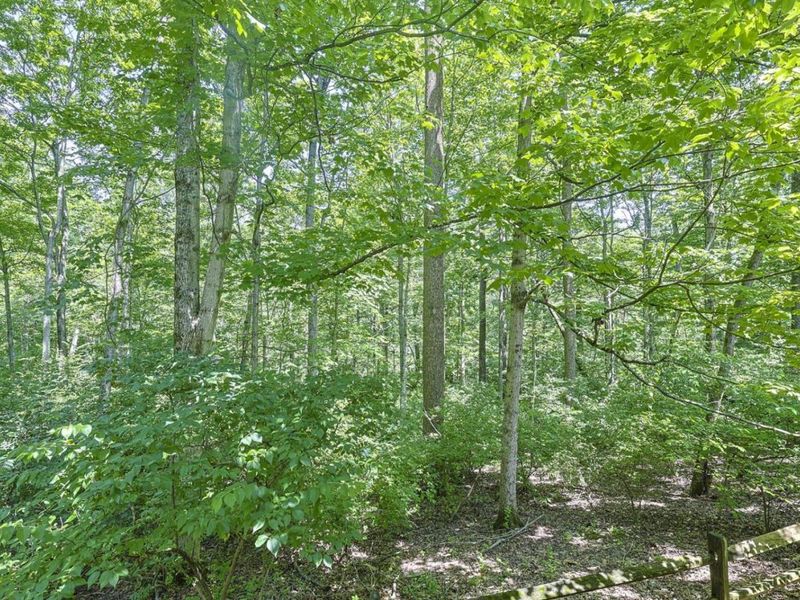 10708 Weatherstone Court, Symmes Township, OH 45140 Photo 59