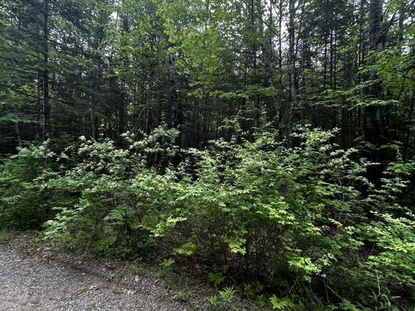 Lot 9-2 Lilly Drive , Newport, ME 04953