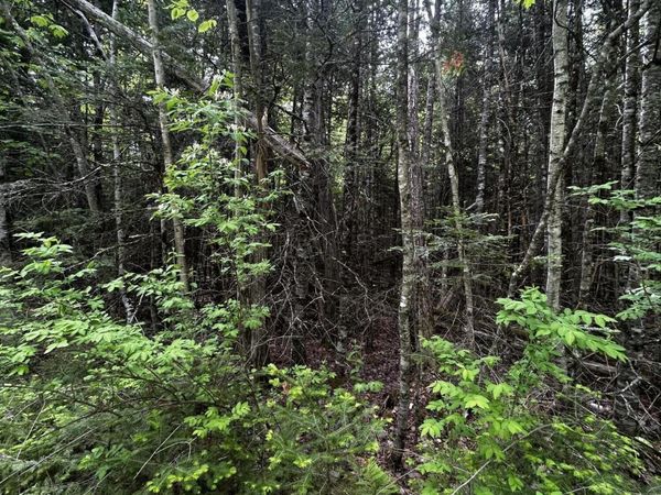 Lot 9-3 Lilly Drive , Newport, ME 04953