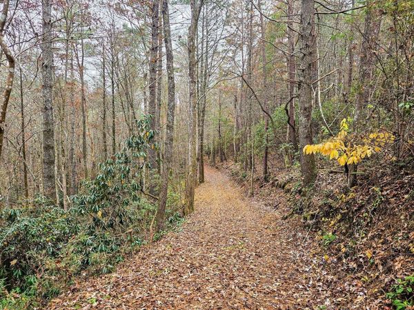 138 Bowater Road , Tellico Plains, TN 37385