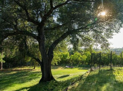 10209 Ranch Rd, Rough and Ready, CA 95975 Photo