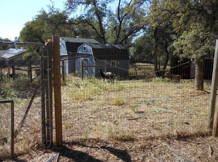 23500 Saint Helena Dr, Smartville, CA 95977 Photo