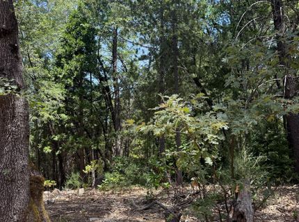 6036 Buffalo Hill Ct, Georgetown, CA 95634 Photo