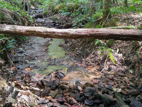 0 LOT 8 Bald Mountain Road, Unit LOT 8, Sky Valley, GA 30537