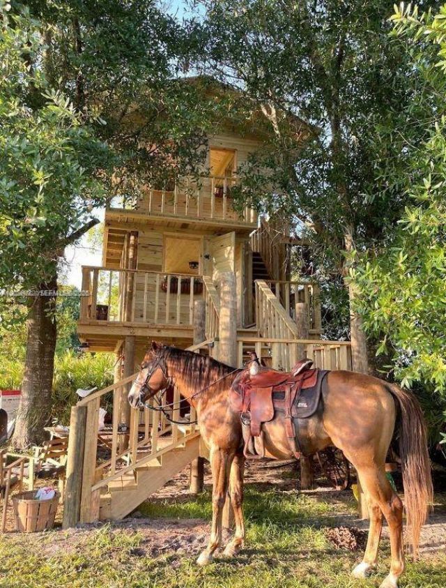 12245 NE 56th Ave , Okeechobee, FL 34972 Photo