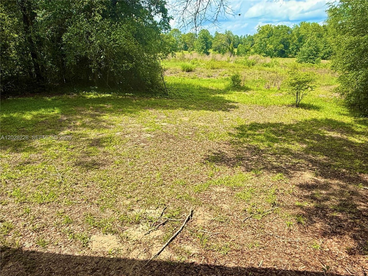 451 NE 151 Terrace , Williston, FL 32696 Photo