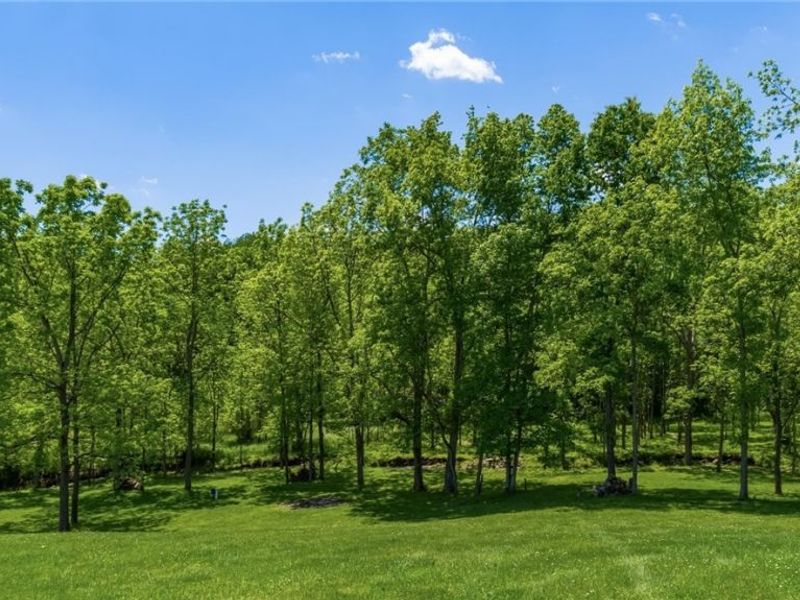 60145 Bliss Road , New Concord, OH 43762 Photo 41