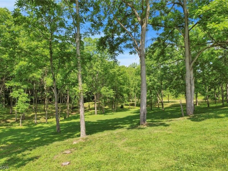 60145 Bliss Road , New Concord, OH 43762 Photo 46