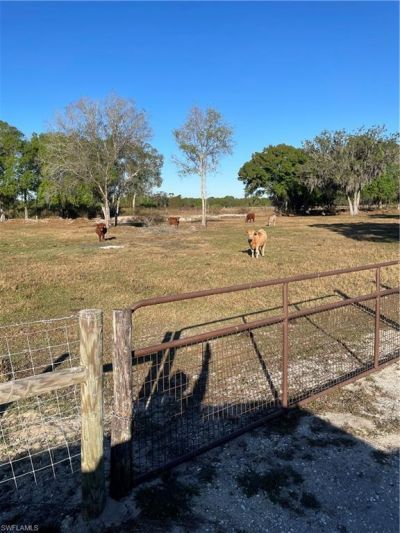 1220 A Rd , Labelle, FL 33935 Photo