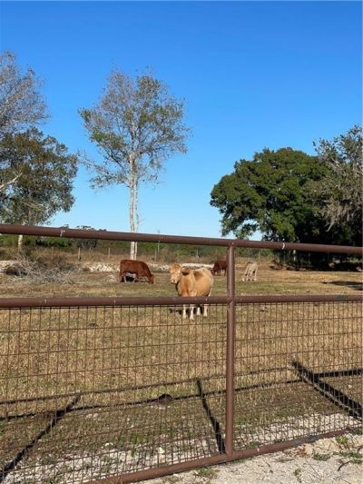 1220 A Rd , Labelle, FL 33935 Photo
