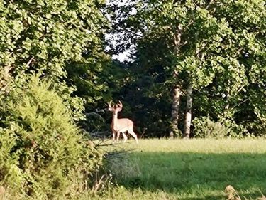 1235 Long Branch-Land, Beattyville, KY 41311