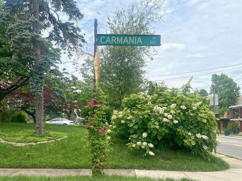 1144 Carmania Avenue, Cincinnati, OH 45238 Photo 34