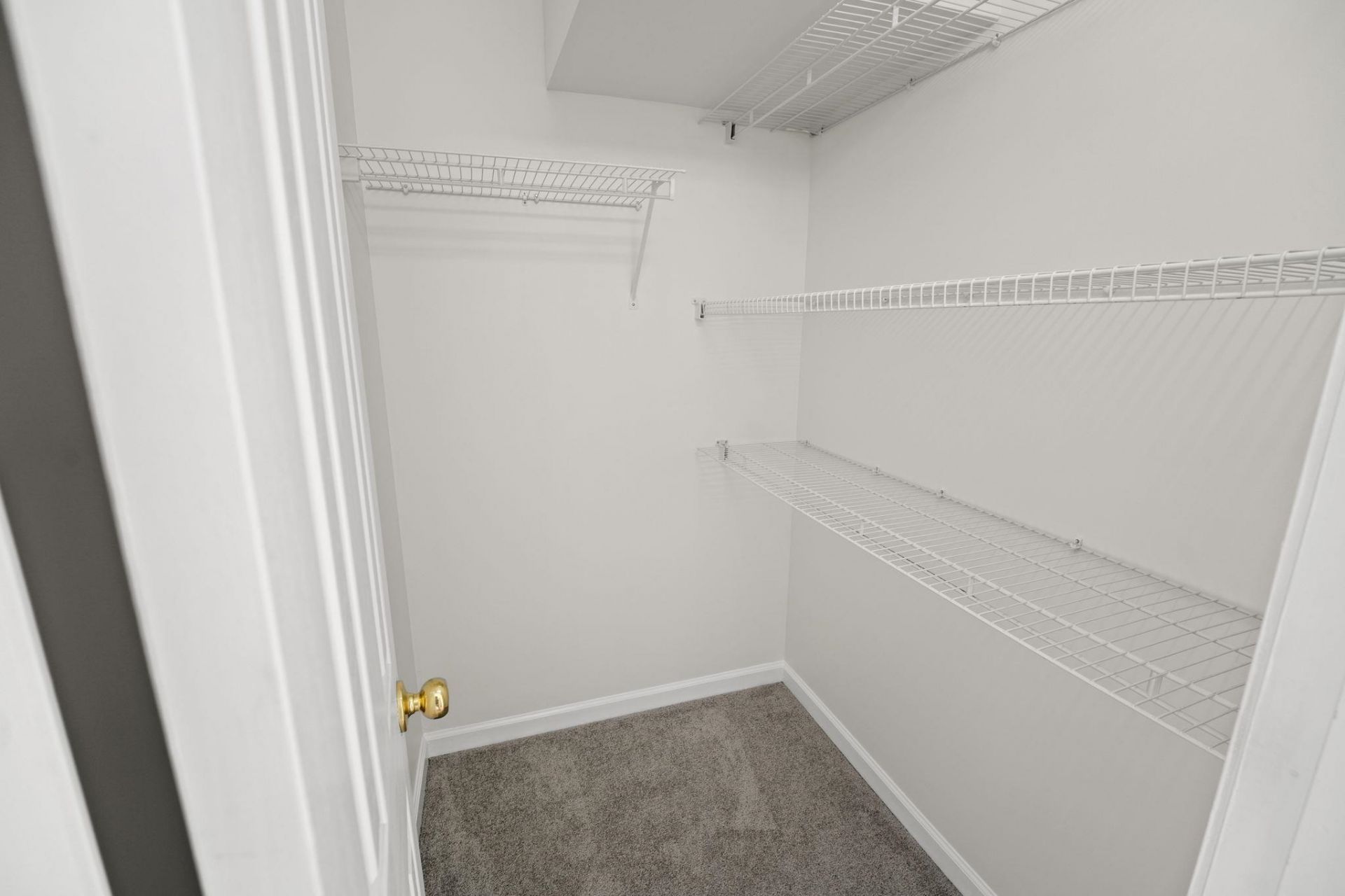 261 Ashepoo Creek Dr.  Photo 20