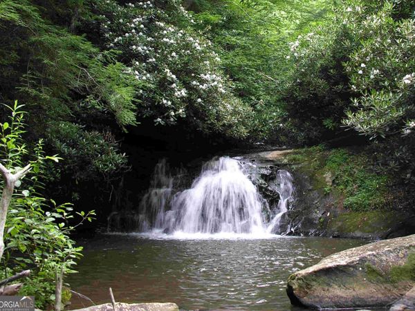 230 Woodside Lane, Suches, GA 30572