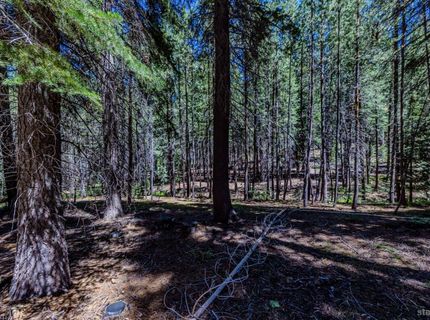 1891 Mandan Street, South Lake Tahoe, CA 96150 Photo