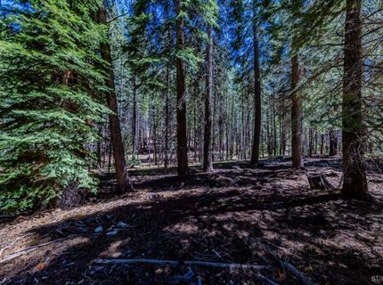 1891 Mandan Street, South Lake Tahoe, CA 96150 Photo
